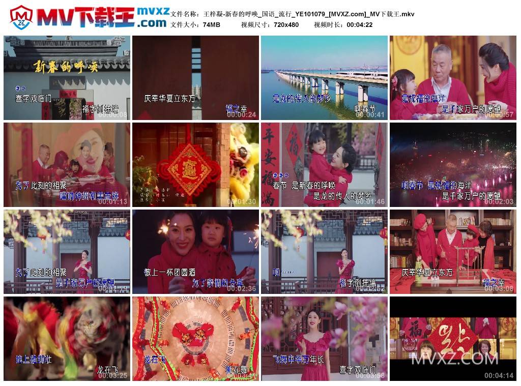 王梓凝-新春的呼唤_国语_流行_YE101079